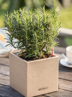 LECHUZA® Kunststoff-Topf Canto Stone, eckig, ca. B14/H13,5/T14 cm