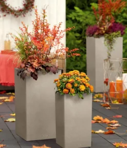LECHUZA® Kunststoff-Topf Canto Stone, quadratisch