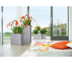 LECHUZA® Kunststoff-Topf Canto Stone, quadratisch
