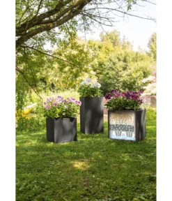 LECHUZA® Kunststoff-Topf Canto Stone, quadratisch