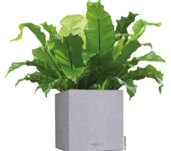 LECHUZA® Kunststoff-Topf Canto Stone, quadratisch