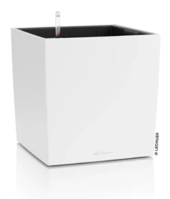 LECHUZA® Kunststoff-Topf Cube, rechteckig