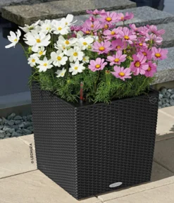 LECHUZA® Kunststoff-Topf Cube Cottage, quadratisch