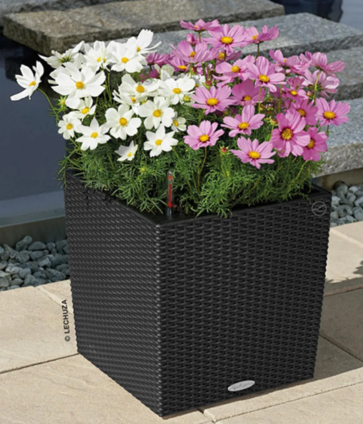 LECHUZA® Kunststoff-Topf Cube Cottage, quadratisch