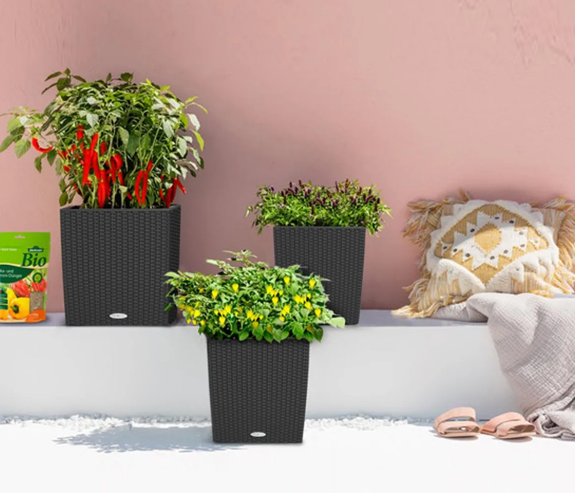 LECHUZA® Kunststoff-Topf Cube Cottage, quadratisch