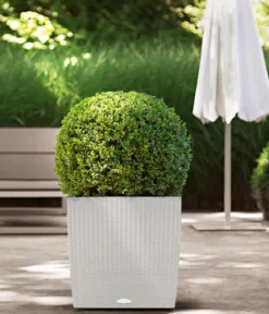 LECHUZA® Kunststoff-Topf Cube Cottage, quadratisch