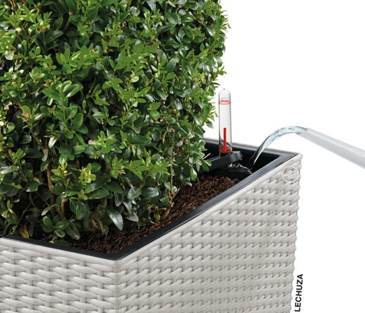LECHUZA® Kunststoff-Topf Cube Cottage, quadratisch