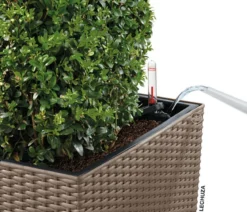 LECHUZA® Kunststoff-Topf Cube Cottage, quadratisch
