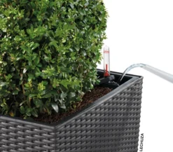 LECHUZA® Kunststoff-Topf Cube Cottage, quadratisch