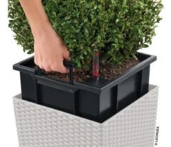 LECHUZA® Kunststoff-Topf Cube Cottage, quadratisch