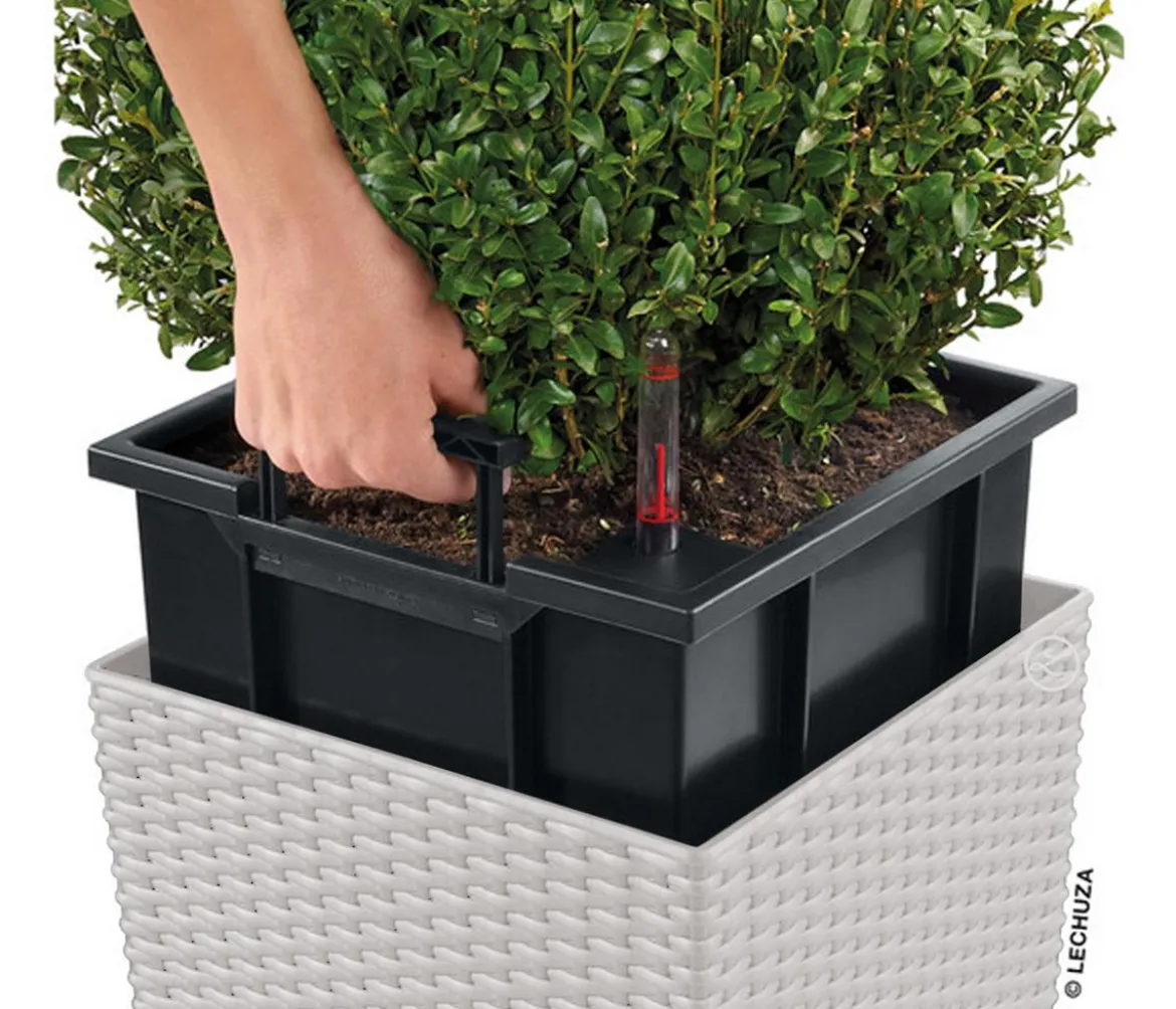 LECHUZA® Kunststoff-Topf Cube Cottage, quadratisch