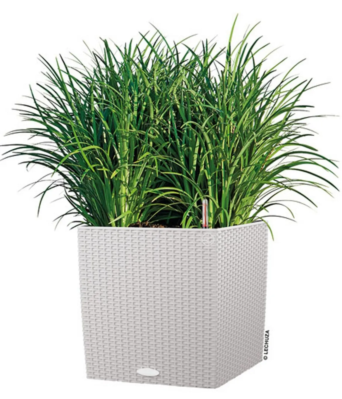 LECHUZA® Kunststoff-Topf Cube Cottage, quadratisch