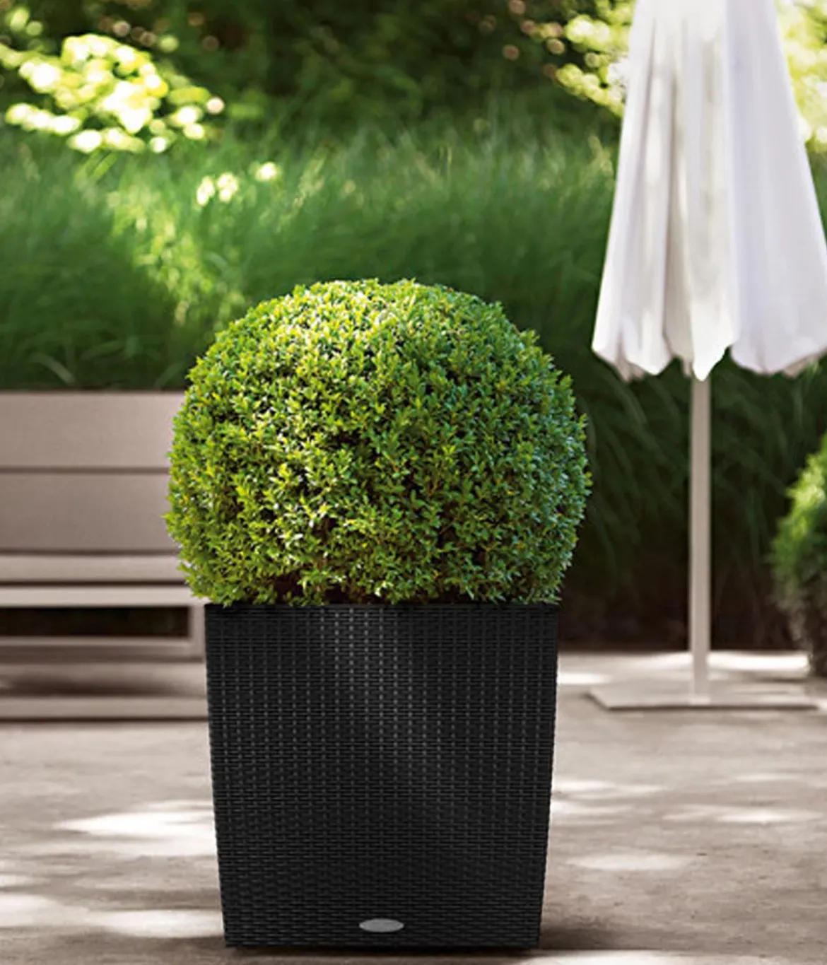 LECHUZA® Kunststoff-Topf Cube Cottage, quadratisch