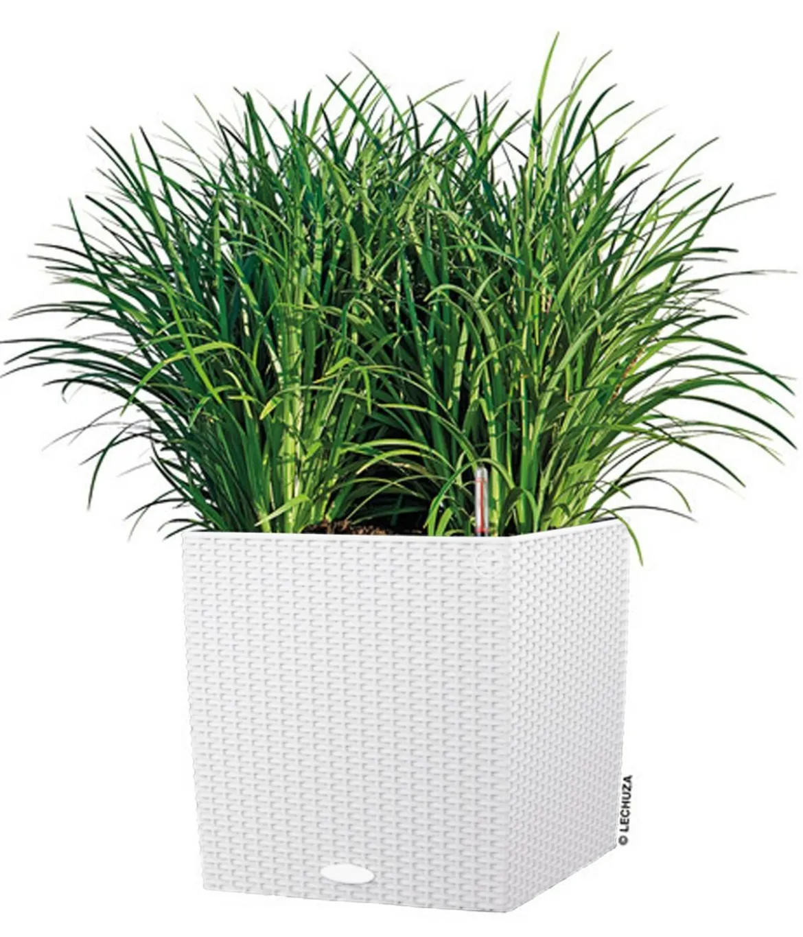LECHUZA® Kunststoff-Topf Cube Cottage, quadratisch