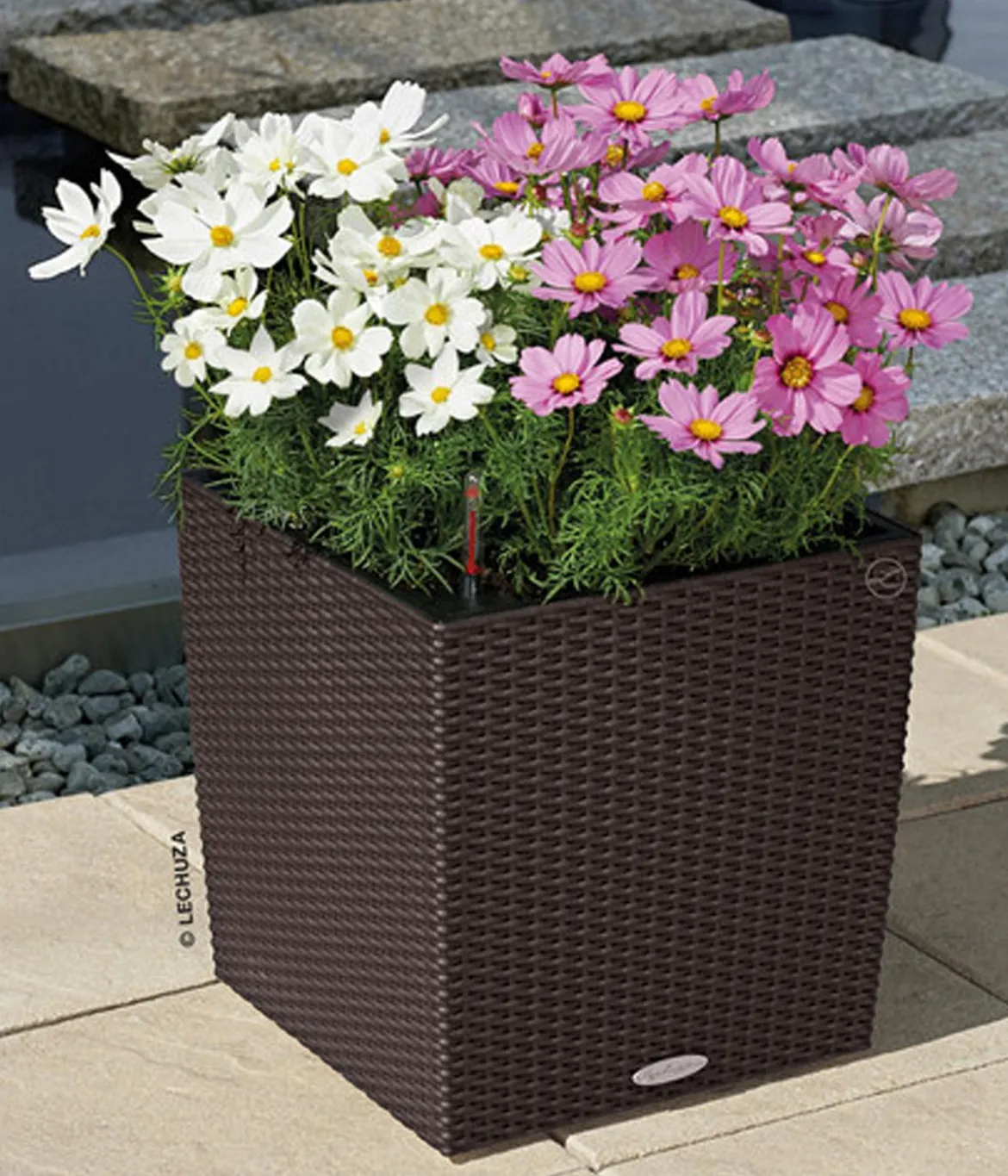 LECHUZA® Kunststoff-Topf Cube Cottage, quadratisch