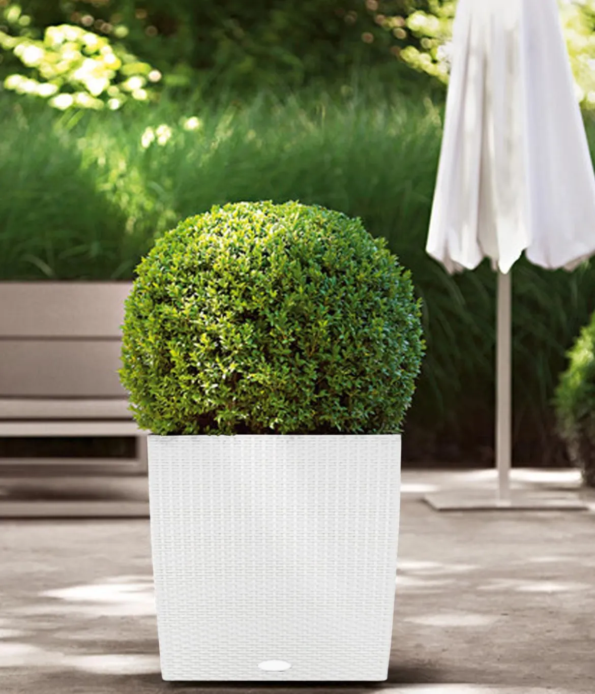LECHUZA® Kunststoff-Topf Cube Cottage, quadratisch