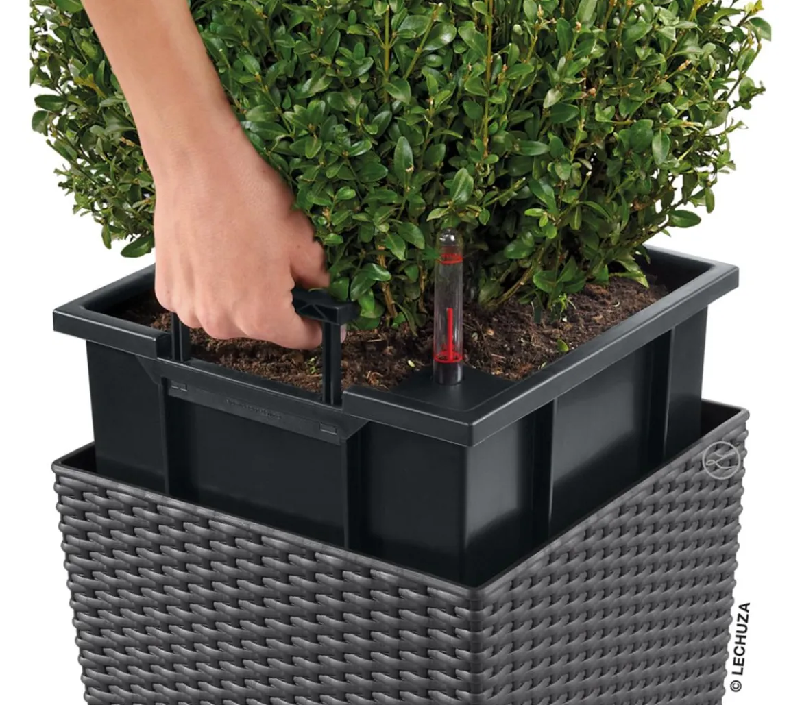 LECHUZA® Kunststoff-Topf Cube Cottage, quadratisch