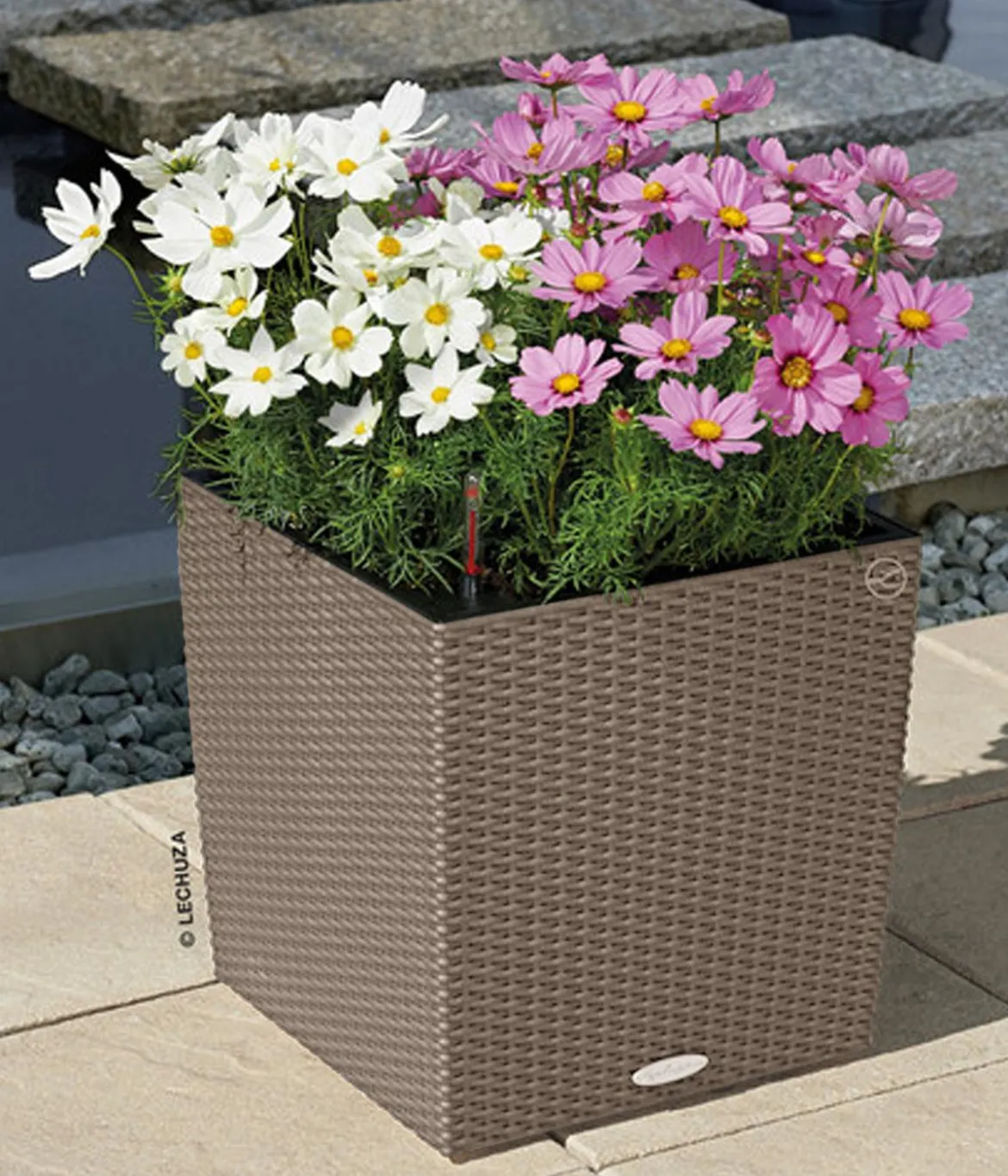 LECHUZA® Kunststoff-Topf Cube Cottage, quadratisch