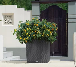 LECHUZA® Kunststoff-Topf Cube Cottage, quadratisch