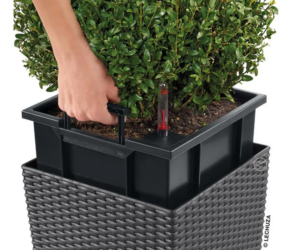 LECHUZA® Kunststoff-Topf Cube Cottage, quadratisch