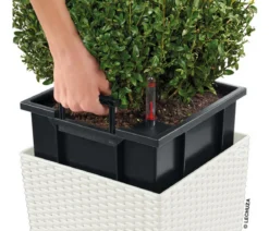LECHUZA® Kunststoff-Topf Cube Cottage, quadratisch
