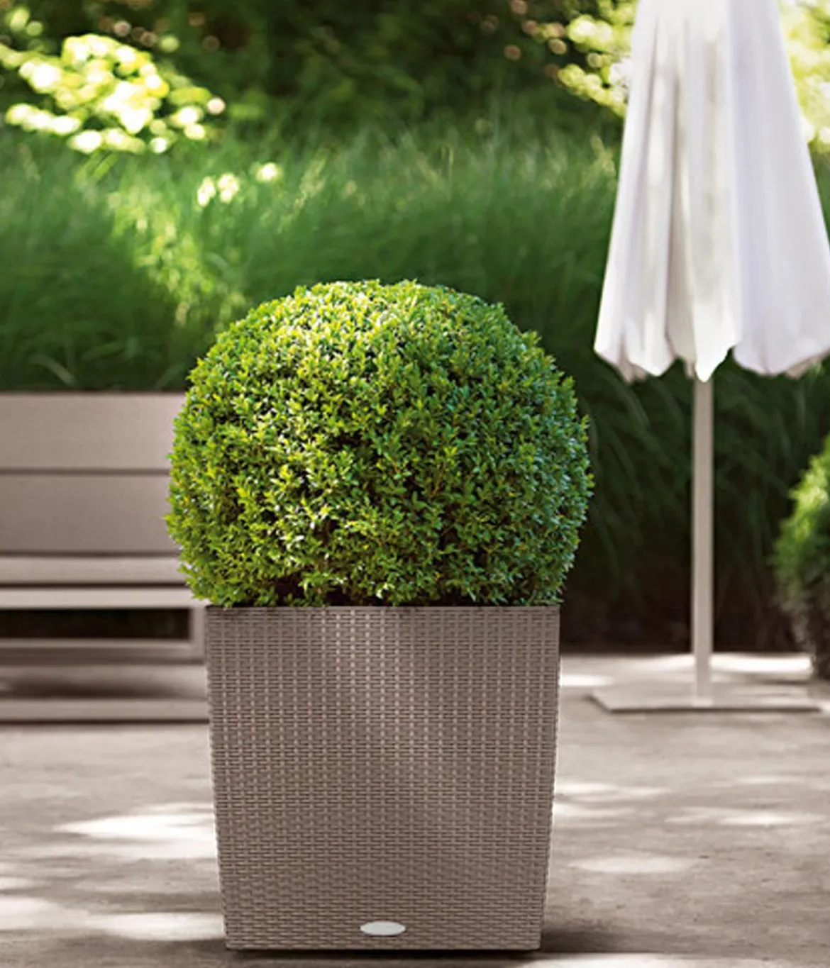 LECHUZA® Kunststoff-Topf Cube Cottage, quadratisch