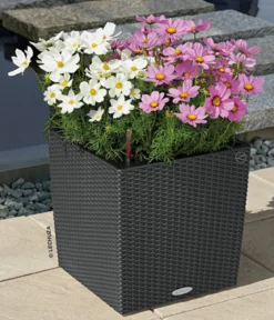 LECHUZA® Kunststoff-Topf Cube Cottage, quadratisch