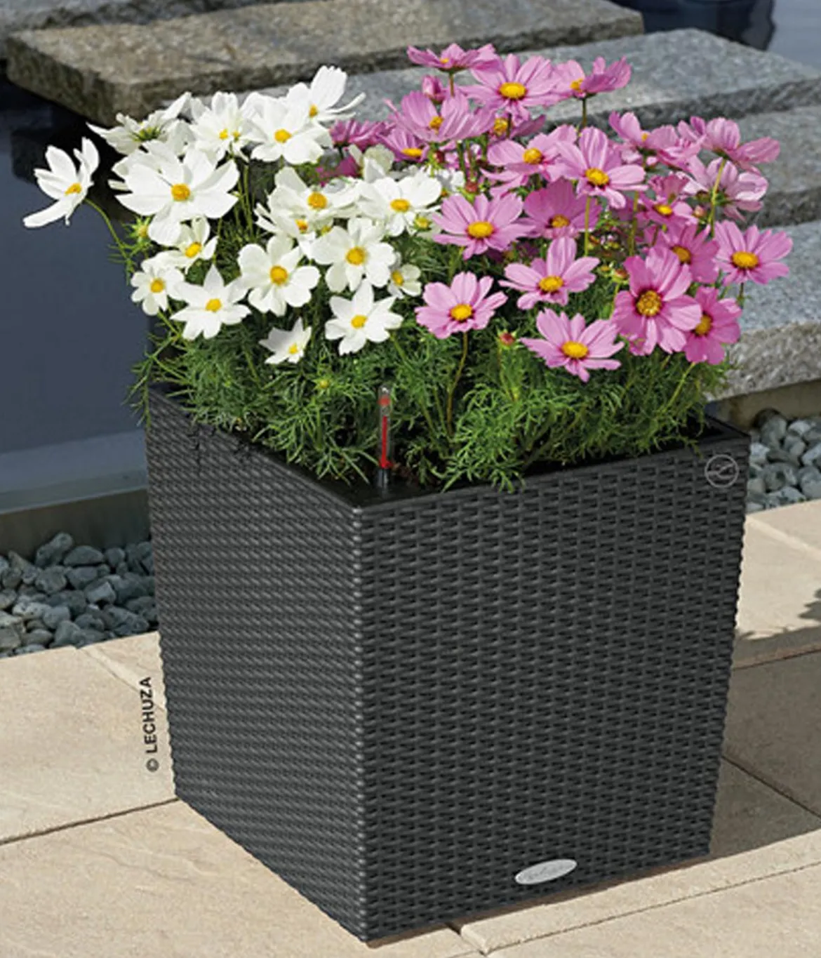 LECHUZA® Kunststoff-Topf Cube Cottage, quadratisch