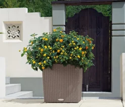 LECHUZA® Kunststoff-Topf Cube Cottage, quadratisch