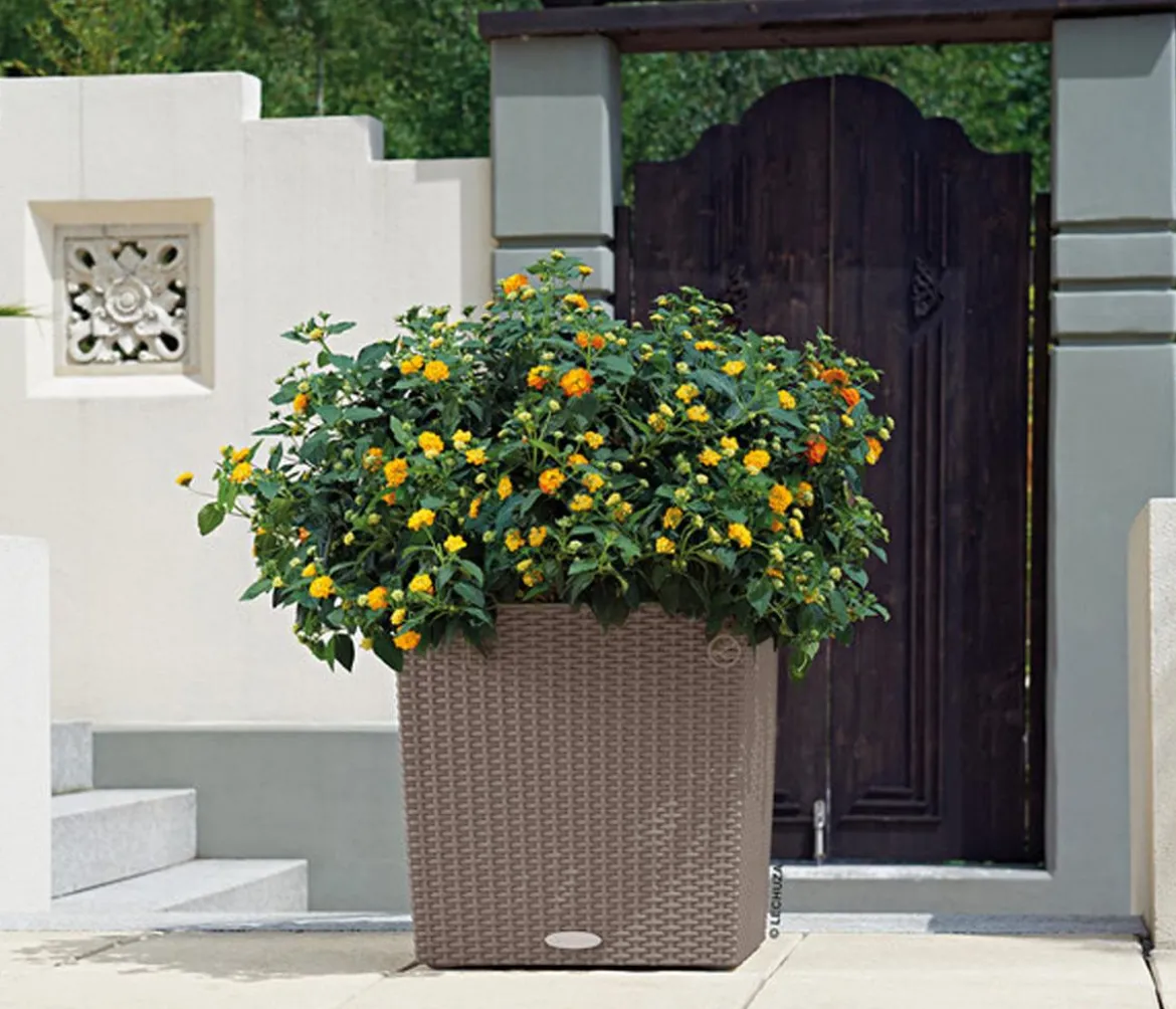 LECHUZA® Kunststoff-Topf Cube Cottage, quadratisch