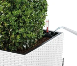LECHUZA® Kunststoff-Topf Cube Cottage, quadratisch