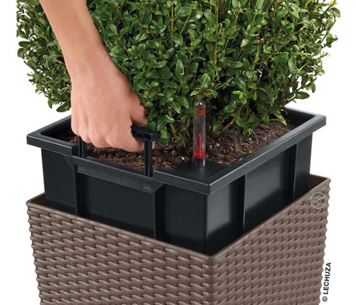 LECHUZA® Kunststoff-Topf Cube Cottage, quadratisch
