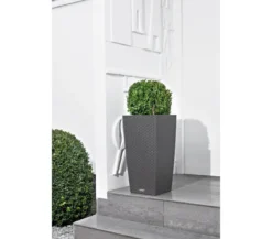 LECHUZA® Kunststoff-Topf Cubico Cottage, konisch