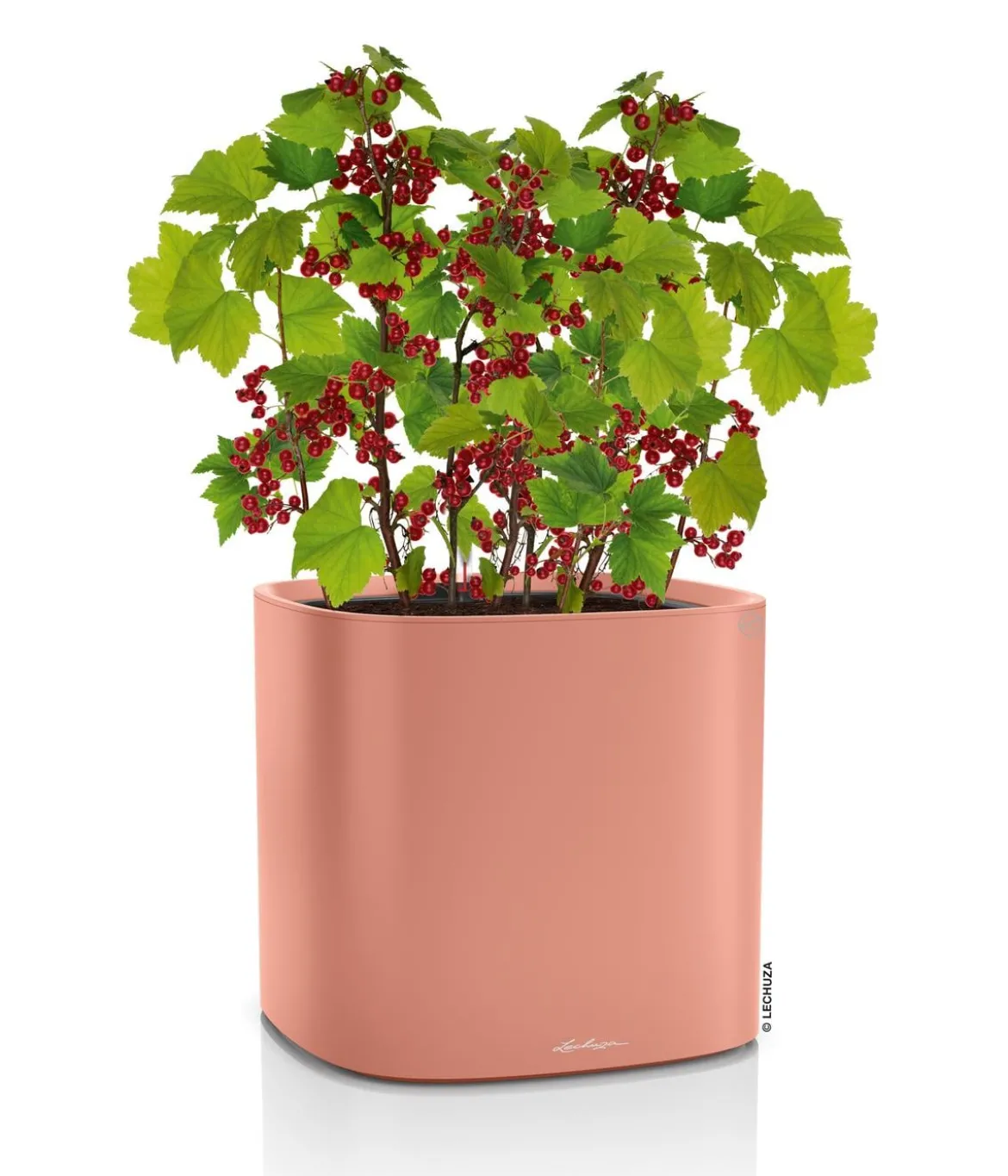 LECHUZA® Kunststoff-Topf PILA Color Planter, quadratisch, ca. B35/H33/T35 cm