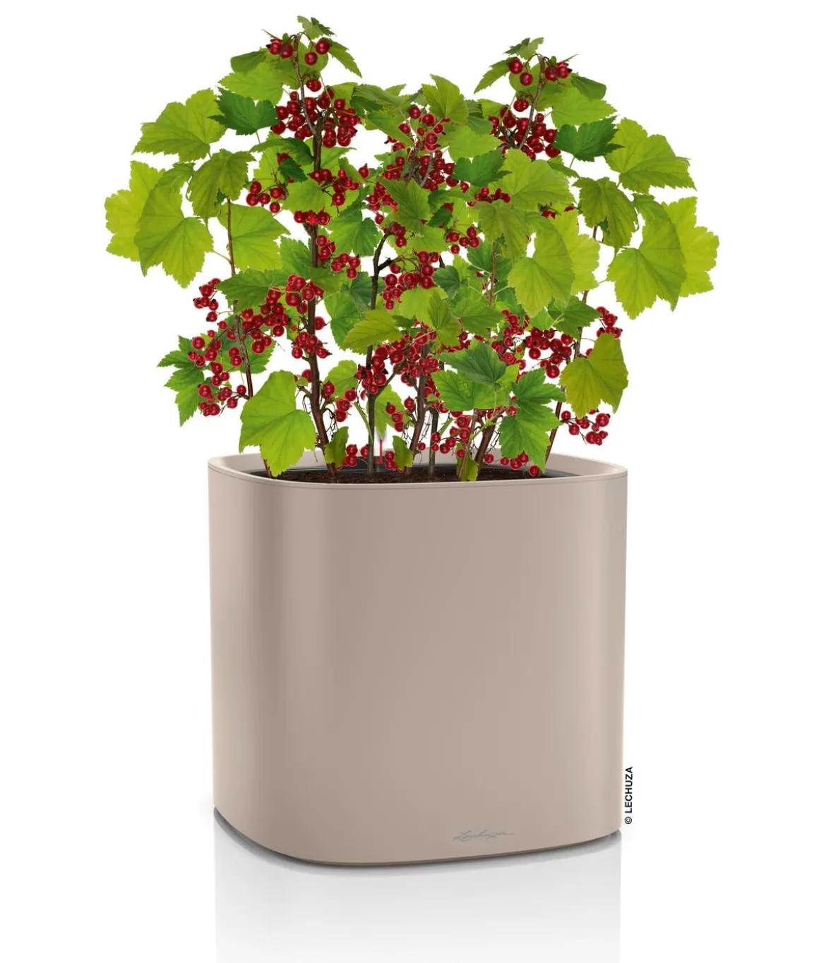 LECHUZA® Kunststoff-Topf PILA Color Planter, quadratisch, ca. B35/H33/T35 cm