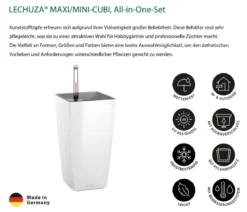 LECHUZA® MAXI/MINI-CUBI, All-in-One-Set, hochglanz