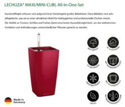 LECHUZA® MAXI/MINI-CUBI, All-in-One-Set, hochglanz