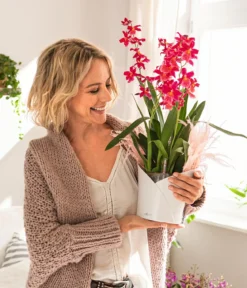 LECHUZA® ORCHIDEA, All-in-One Set, ca. Ø18/H20 cm