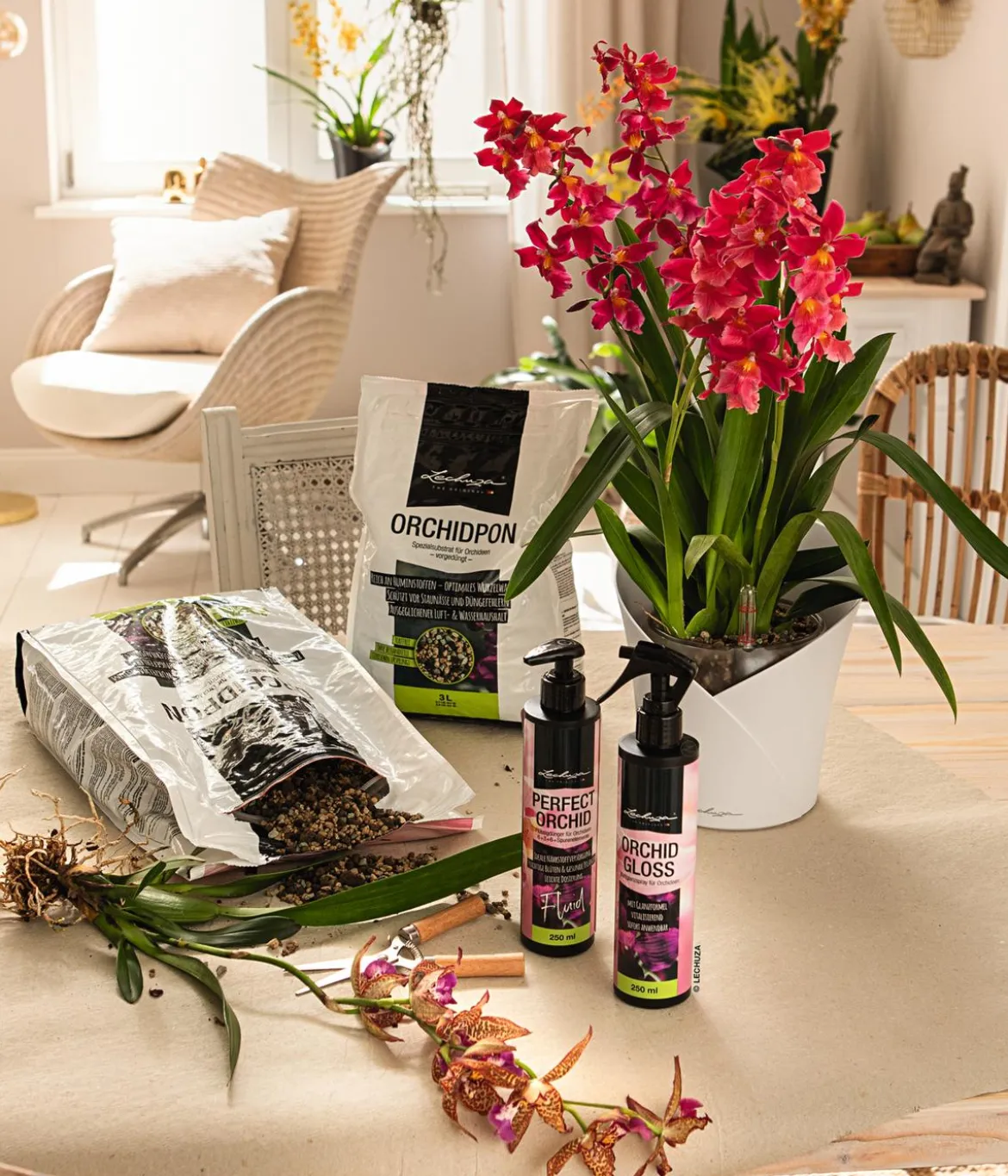 LECHUZA® ORCHIDEA, All-in-One Set, ca. Ø18/H20 cm
