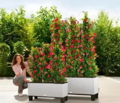 LECHUZA® Polyrattan-Kasten Trio Cottage, rechteckig