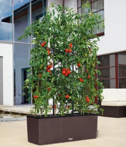LECHUZA® Polyrattan-Kasten Trio Cottage, rechteckig