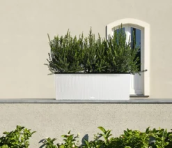 LECHUZA® Polyrattan-Kasten Trio Cottage, rechteckig