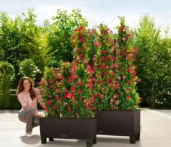 LECHUZA® Polyrattan-Kasten Trio Cottage, rechteckig