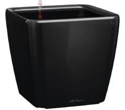 LECHUZA® QUADRO LS, All-in-One-Set