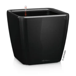 LECHUZA® QUADRO LS, All-in-One-Set