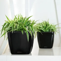 LECHUZA® QUADRO LS, All-in-One-Set