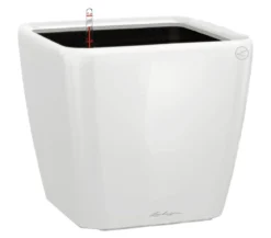 LECHUZA® QUADRO LS, All-in-One-Set