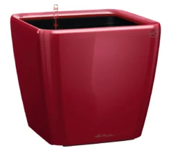 LECHUZA® QUADRO LS, All-in-One-Set