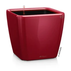 LECHUZA® QUADRO LS, All-in-One-Set