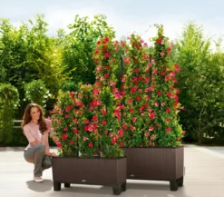 LECHUZA® Trio Cottage Rankgitter, schwarz, ca. B86/H135 cm